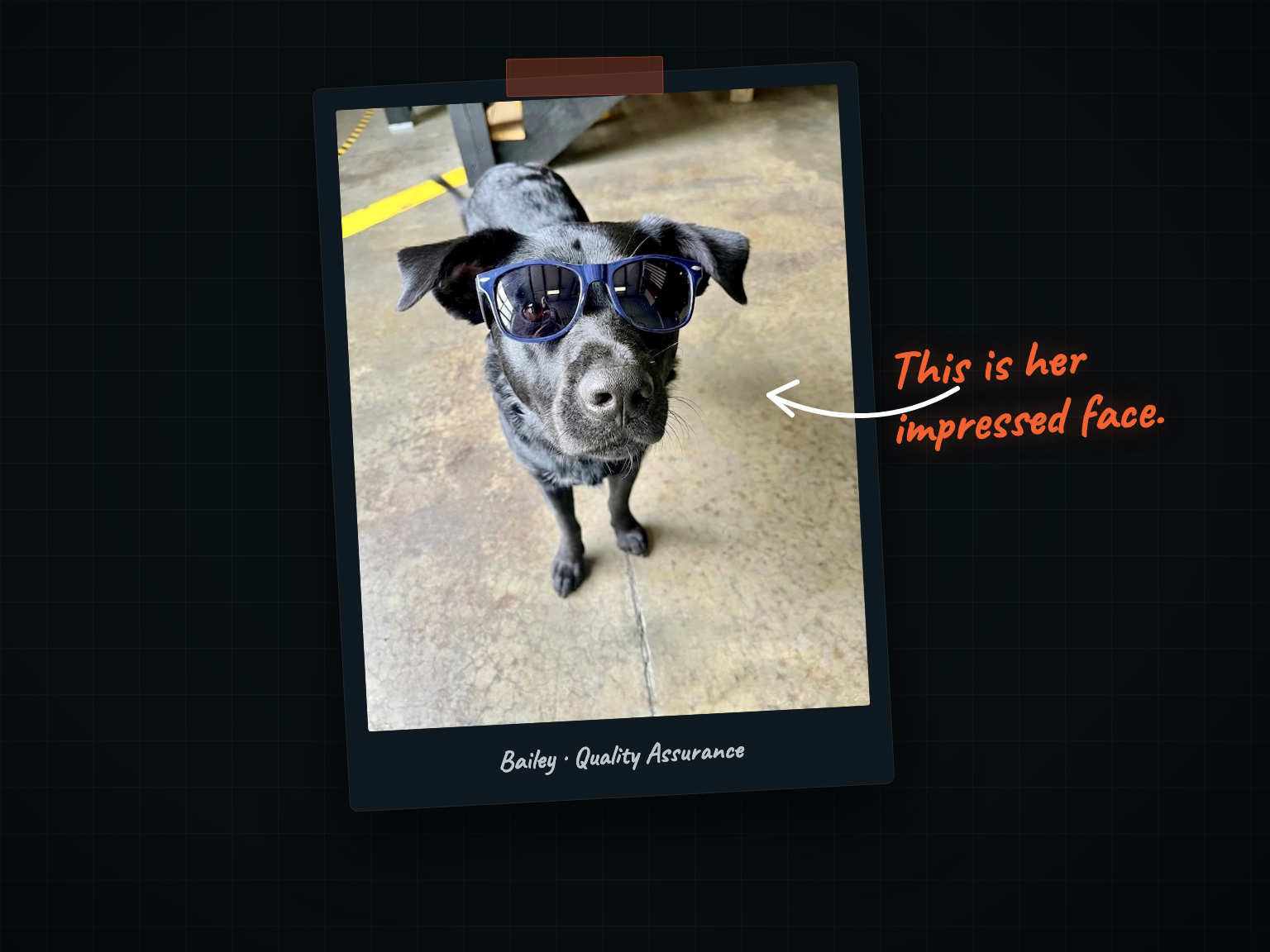 Bailey, a black dog wearing blue sunglasses on a brewery floor, in a snapshot-style card annotated: This is her impressed face.